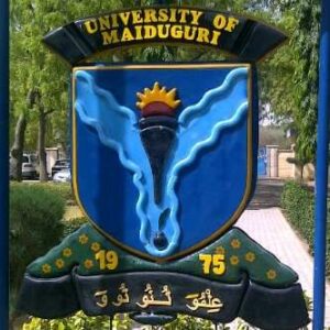 Does UNIMAID Accept Two Sittings For Admission