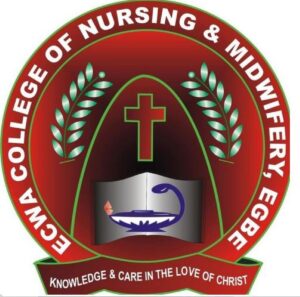 ECWA School of Nursing Admission Form